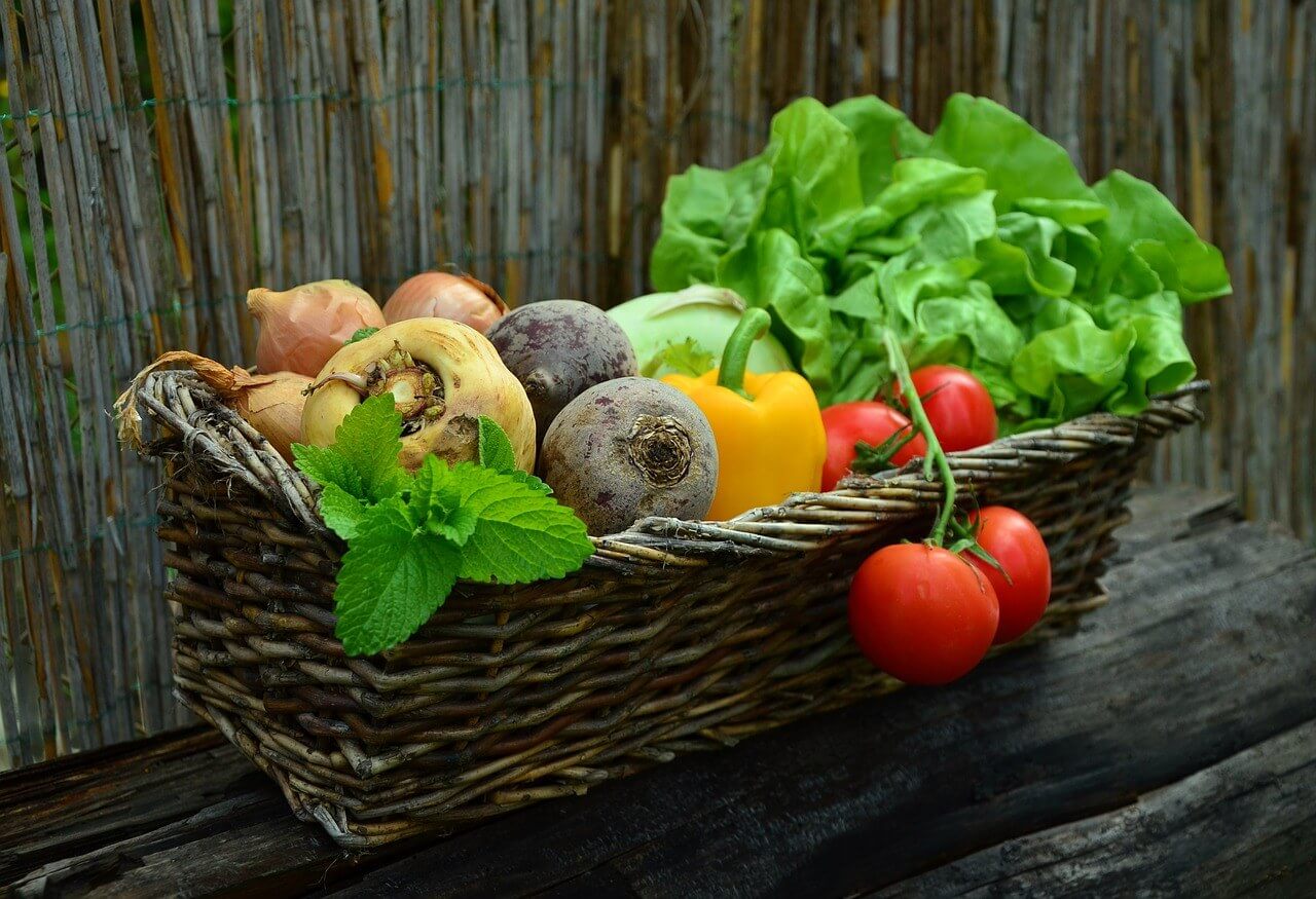 Uživanje zelenjave in sadja zmanjšuje tveganje za raka – ne pozabite na raznolikost